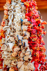 Dried and winter prepared eggplant, pepper and stuffed peppers