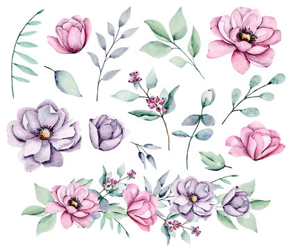 Peonies, watercolor pink and violet flowers set. Floral summer vintage illustration isolated on white background. Hand drawing. Perfectly for wedding, birthday, party, other greetings design. © Larisa