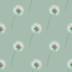 seamless pattern with dandelion . Stylish repeating texture. vector