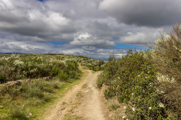road in mountains