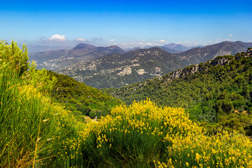 Fototapeta na wymiar Aerial view of the green mountains Alpes-Maritime, southern France. Provence