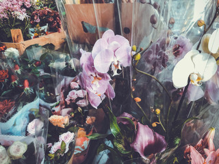 Orchids in a transparent wrapping on a sunny day outside