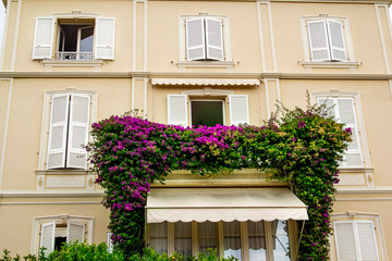 Fototapeta na wymiar Charming house in Monte Carlo with blooming Bougainvillea