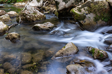 Fototapeta na wymiar Mountain river and fresh clean streams of water running through the forest over rocks and pebbles in the forest