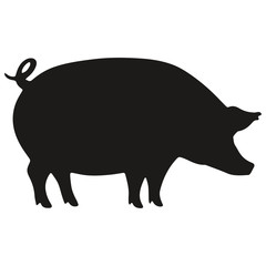 Pig