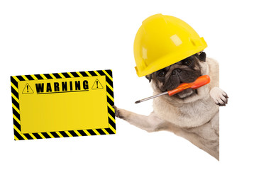 frolic construction worker pug dog with constructor helmet, holding orange screwdriver and yellow warning sign board, isolated on white background