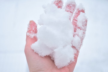 hand in the snow