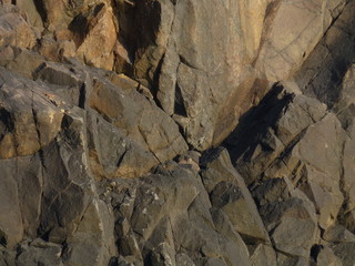 stone wall background