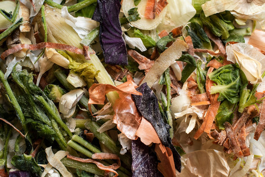 Vegetable food scraps