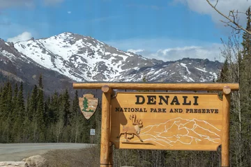 Deurstickers Denali Denali National Park