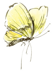 Watercolor yellow butterfly