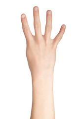Fototapeta premium British Sign Language