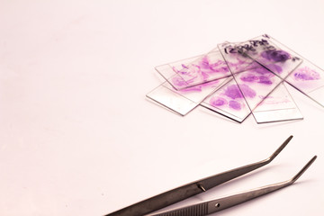 Small glasses with pieces of histological biopsies on white background. The number 128364 can be...
