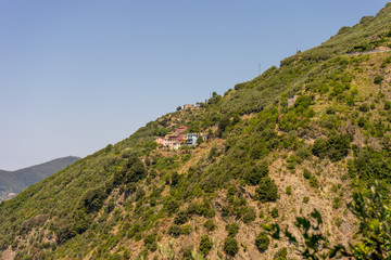 Fototapeta na wymiar Italy, Cinque Terre, Corniglia, a close up of a lush green hillside