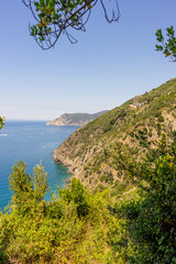 Italy, Cinque Terre, Corniglia, a tree next to a body of water with a mountain in the background