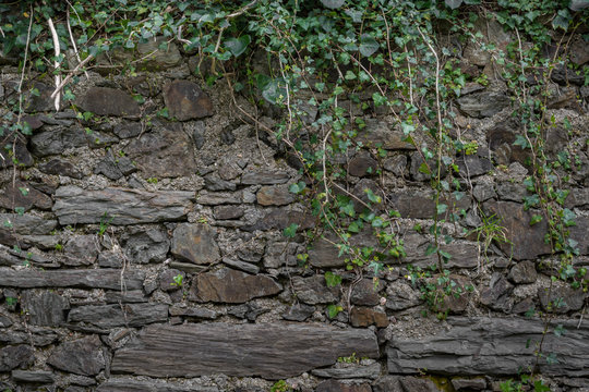 Muro de piedra centenario con vegetación cubriendo su parte superior