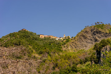 Italy, Cinque Terre, Corniglia, a close up of a hillside