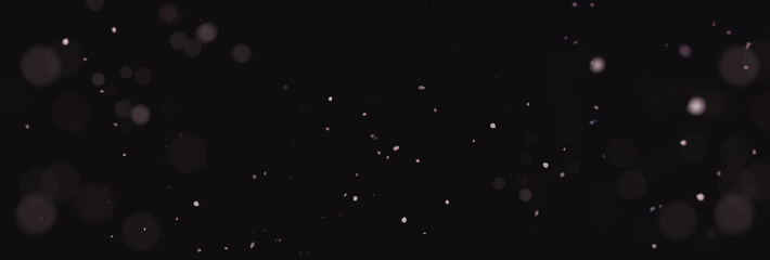 blurred japanese cherry petals in front of black backgound