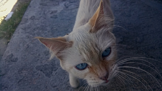 Mirada de amor.