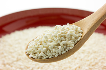米麹 米こうじ