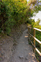 Italy, Cinque Terre, Corniglia, a path with trees on the side of a fence