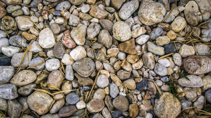 Piedras redondas durante el verano al retirarse el mar.