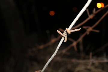 barbed wire