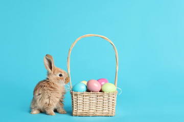 Adorable furry Easter bunny near wicker basket and dyed eggs on color background, space for text