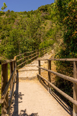 Fototapeta na wymiar Italy, Cinque Terre, Corniglia, a bridge going over a wooden fence