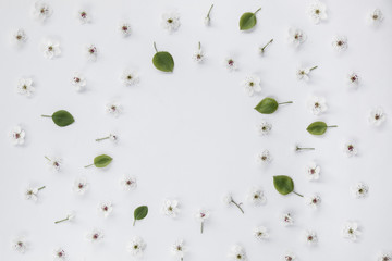 White flowers and green leaves composition pattern on white background with text space. Flat lay, top view