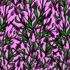 lavenders drawn in violet and green on a pink background
