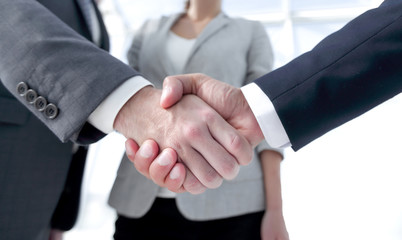 friendly handshake of business people.