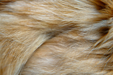 Fur.This animal fur is a variegated red coloring.