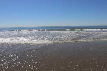 Pacific Ocean on a Clear Day