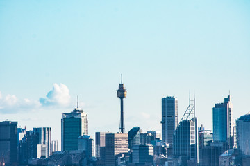 Fototapeta premium Sydney Skyscrapers