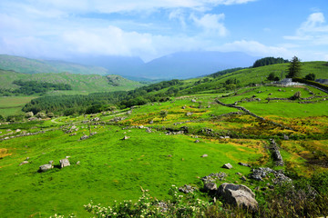 Fototapeta na wymiar Scenic green hills and fields along the Ring of Kerry, near Killarney National Park, Ireland