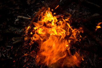 Fototapeta na wymiar Bonfire in the forest, top view on the flames and sparks, beautiful background