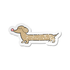 retro distressed sticker of a cartoon dachshund