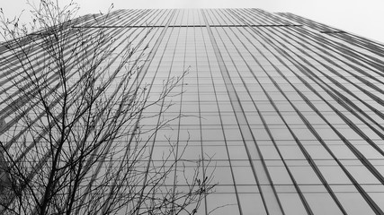 skyscraper reflection in glass
