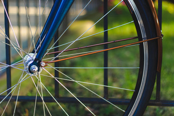 Closeup Bicycle Wheel