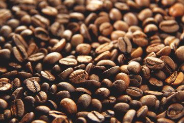 Coffee beans texture background