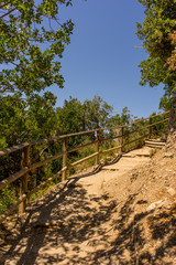 Fototapeta na wymiar Italy, Cinque Terre, Corniglia, a tree in a fenced in area