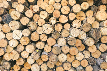 Dry firewood in a pile