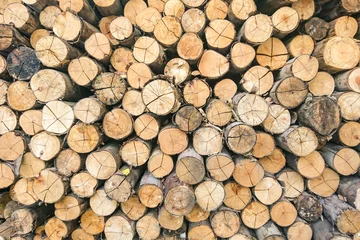 Möbelaufkleber Dry firewood in a pile © Rawich Liwlucksaneey