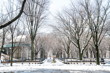 park in winter
