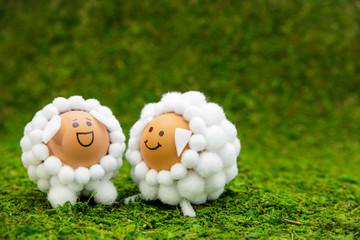 Grußkarte für Ostern und Frühling, kleine Schafe aus Eiern und Watte auf grüner Wiese