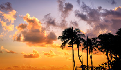 tropical beach sunset - obrazy, fototapety, plakaty
