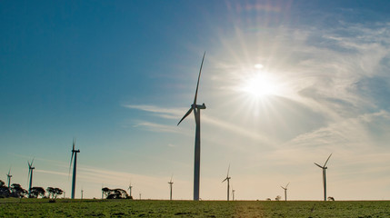 Obraz premium Windmills