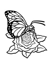 schmetterling kontur rose blume pflanze insekt flügel schön fliegen frühling bunt farben hübsch sommer comic cartoon clipart design