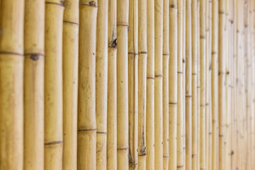 Bamboo wall